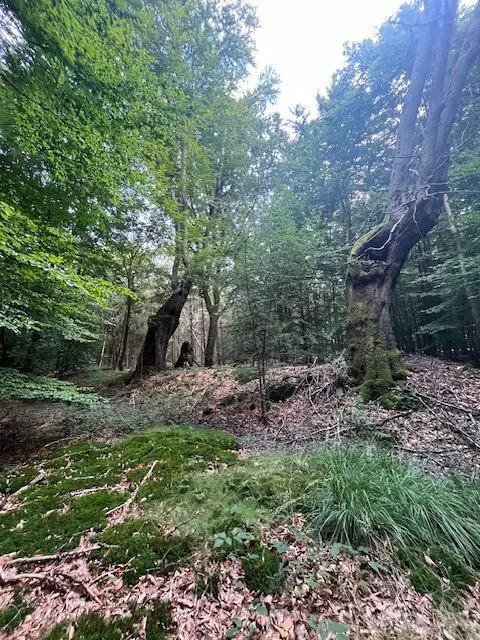 20250913_radtour_landwehren_5